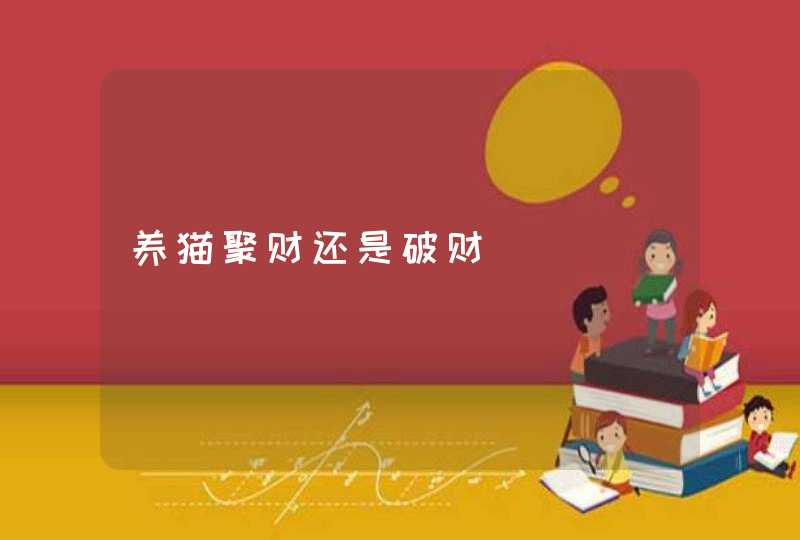 养猫聚财还是破财,第1张