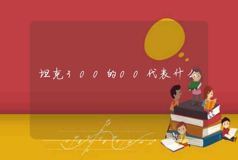 坦克300的00代表什么,第1张