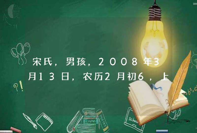 宋氏，男孩，2008年3月13日，农历2月初6，上午11点20生的。大家帮忙取个好名字,第1张