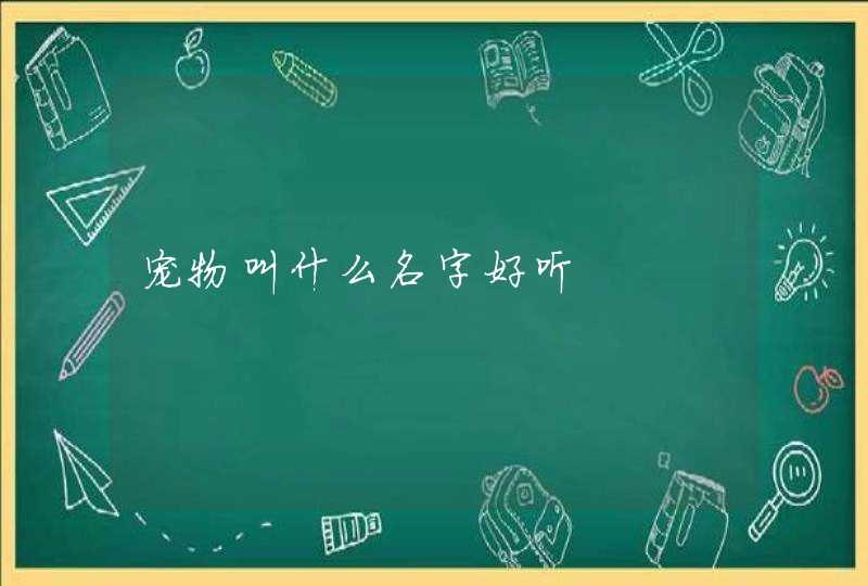 宠物叫什么名字好听,第1张