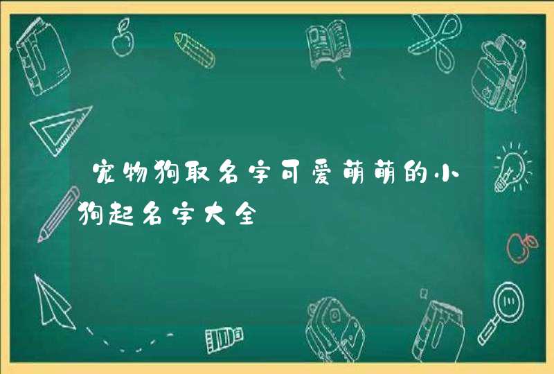 宠物狗取名字可爱萌萌的小狗起名字大全,第1张