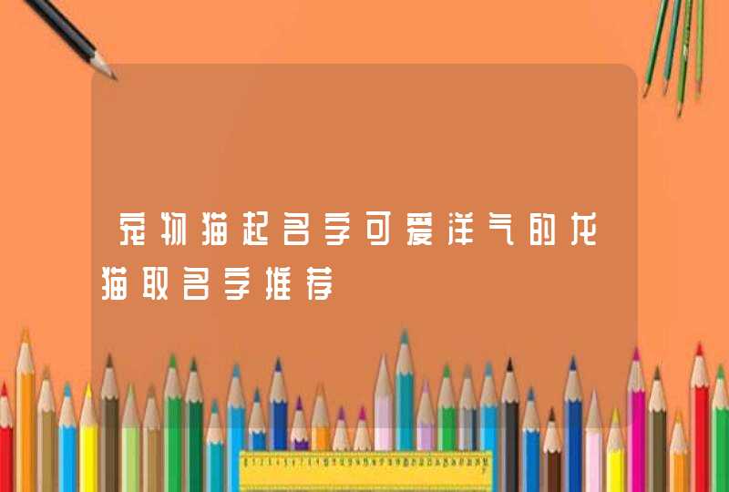 宠物猫起名字可爱洋气的龙猫取名字推荐,第1张