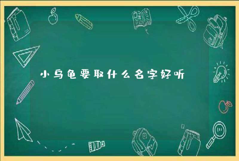 小乌龟要取什么名字好听,第1张