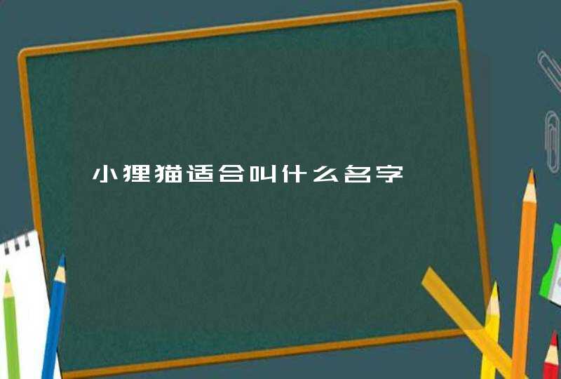 小狸猫适合叫什么名字,第1张