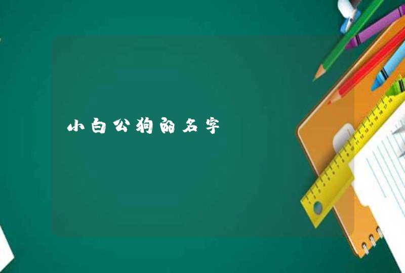 小白公狗的名字,第1张