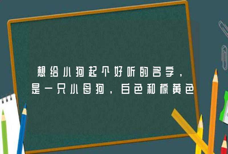 想给小狗起个好听的名字，是一只小母狗，白色和棕黄色相交的，超可爱，谁能起一个特别的名字呢,第1张