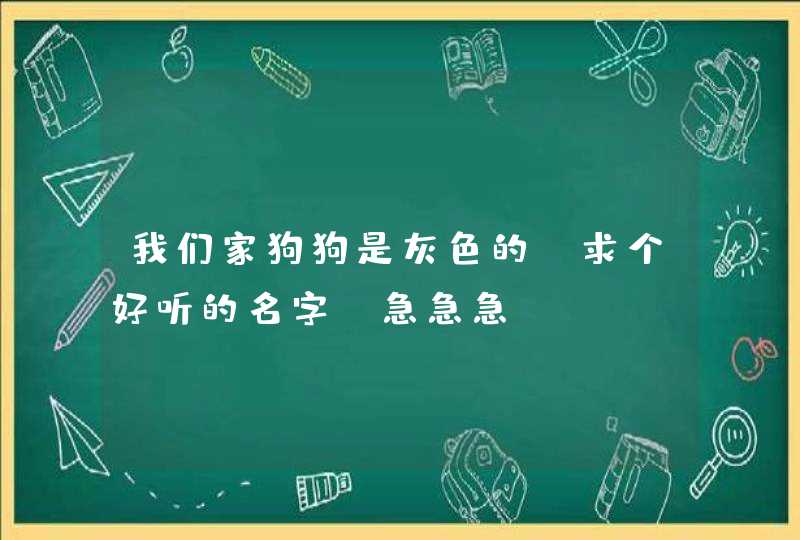 我们家狗狗是灰色的、求个好听的名字！急急急,第1张