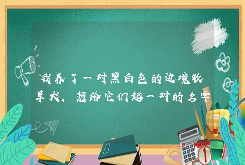 我养了一对黑白色的边境牧羊犬，想给它们起一对的名字，该怎么起，显的既有文彩又能顺口自然？,第1张