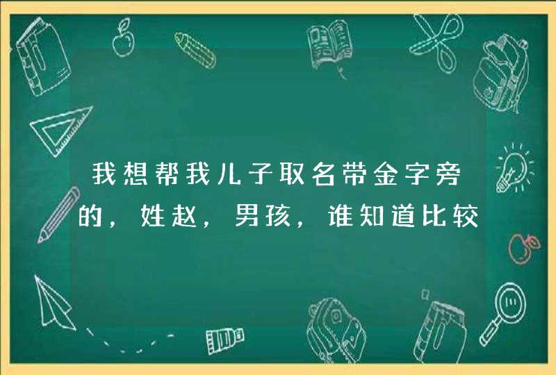 我想帮我儿子取名带金字旁的，姓赵，男孩，谁知道比较大气一点的名字～,第1张