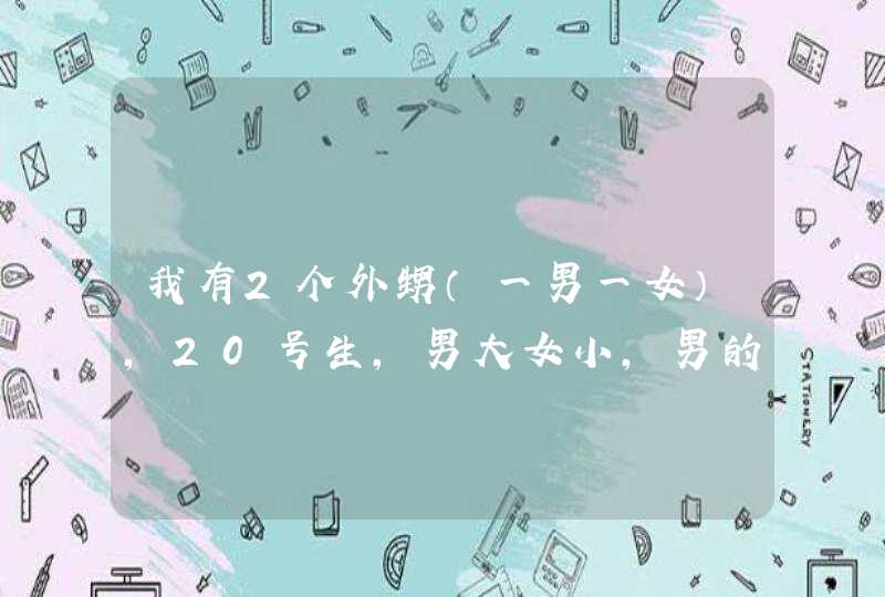 我有2个外甥（一男一女），20号生，男大女小，男的已经取名叫李俊豪，请哪位高手给女孩起个名字？谢谢！,第1张