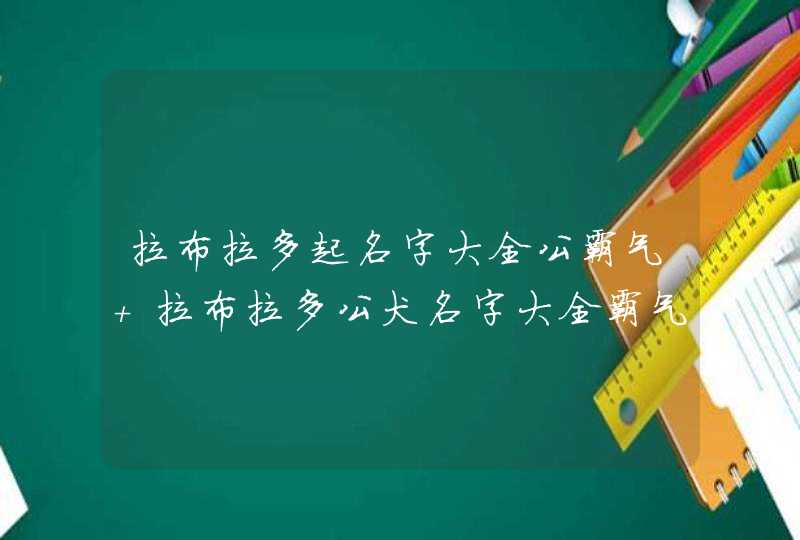 拉布拉多起名字大全公霸气 拉布拉多公犬名字大全霸气,第1张