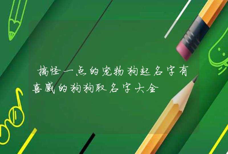 搞怪一点的宠物狗起名字有喜感的狗狗取名字大全,第1张