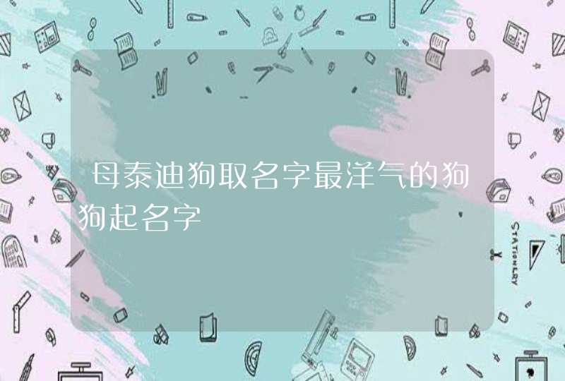 母泰迪狗取名字最洋气的狗狗起名字,第1张