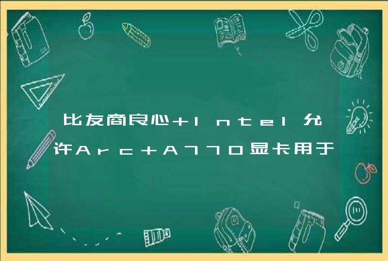 比友商良心 Intel允许Arc A770显卡用于服务器：只限制一点功能,第1张