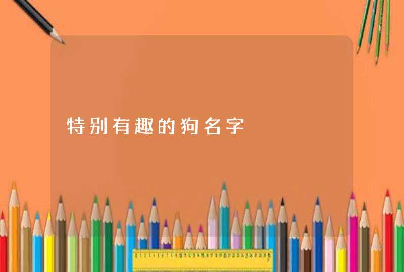 特别有趣的狗名字,第1张