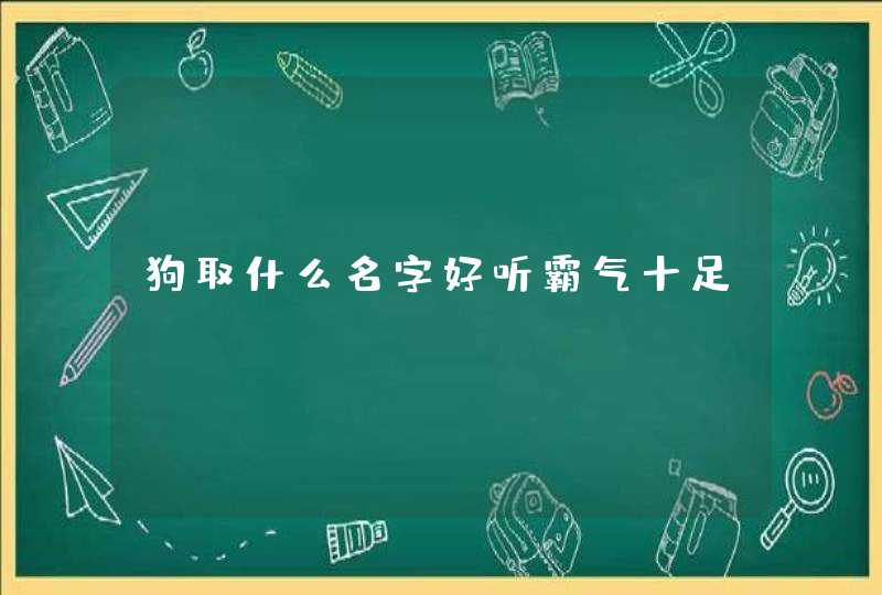 狗取什么名字好听霸气十足,第1张