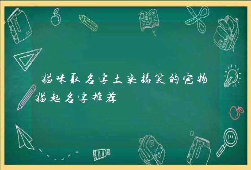 猫咪取名字土气搞笑的宠物猫起名字推荐,第1张