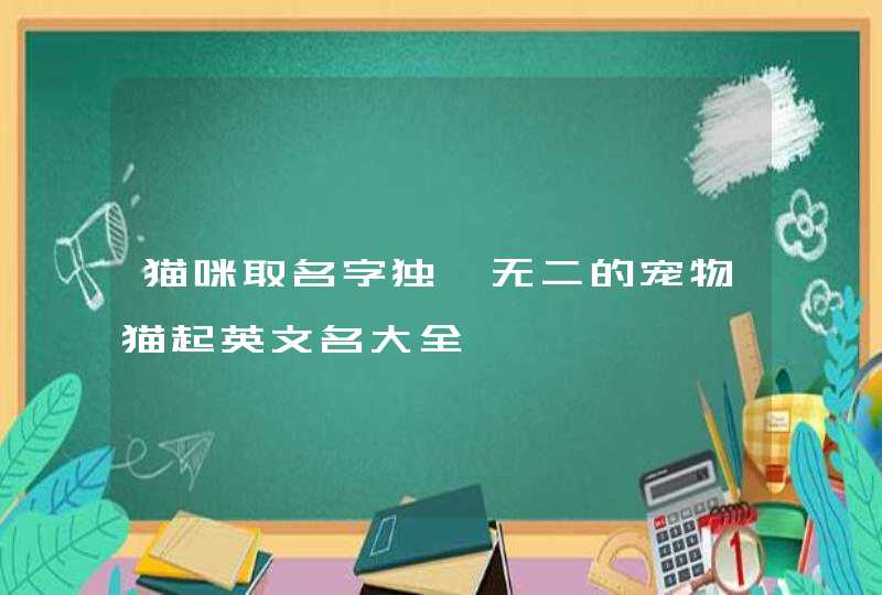 猫咪取名字独一无二的宠物猫起英文名大全,第1张
