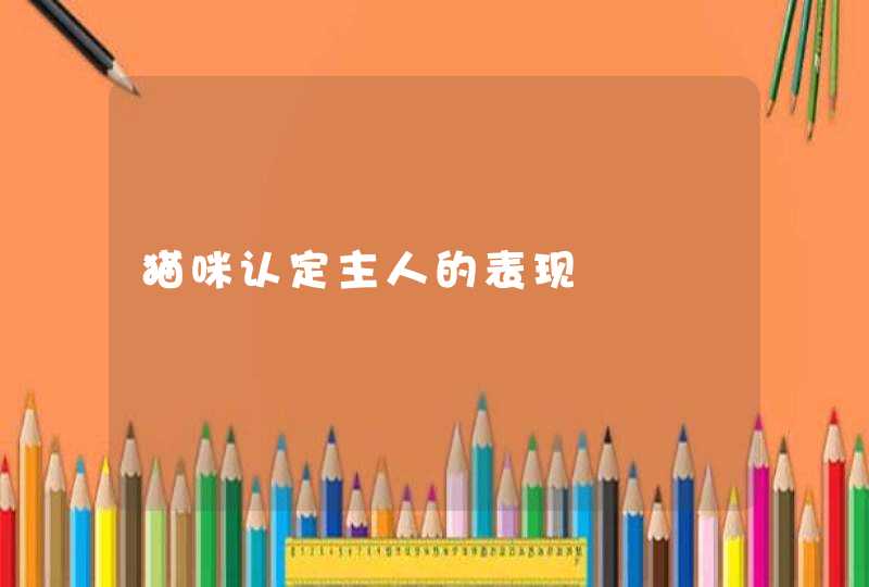 猫咪认定主人的表现,第1张