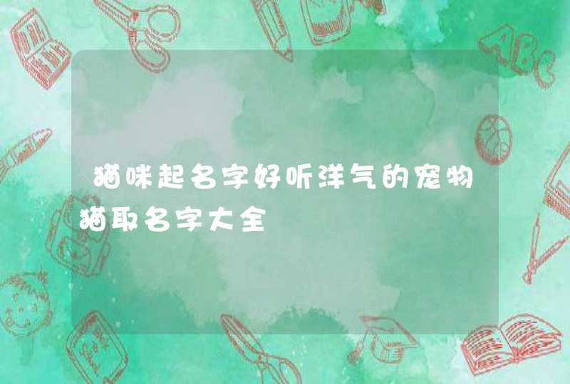 猫咪起名字好听洋气的宠物猫取名字大全,第1张