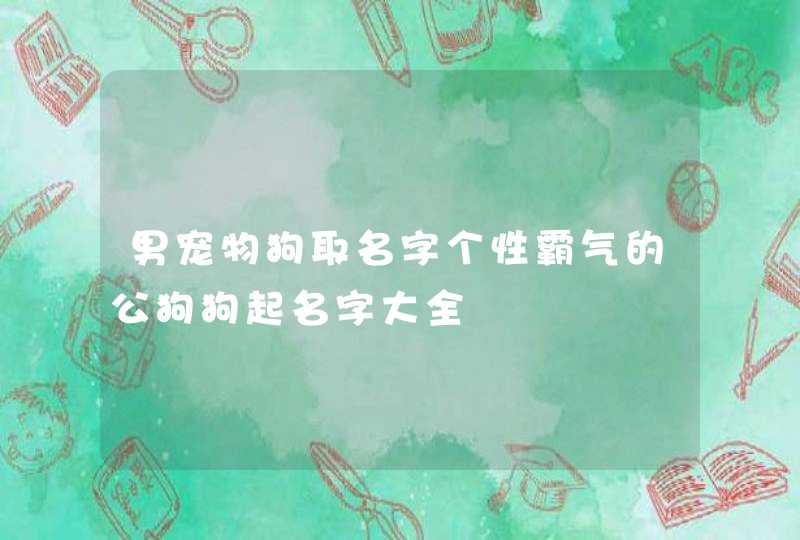 男宠物狗取名字个性霸气的公狗狗起名字大全,第1张