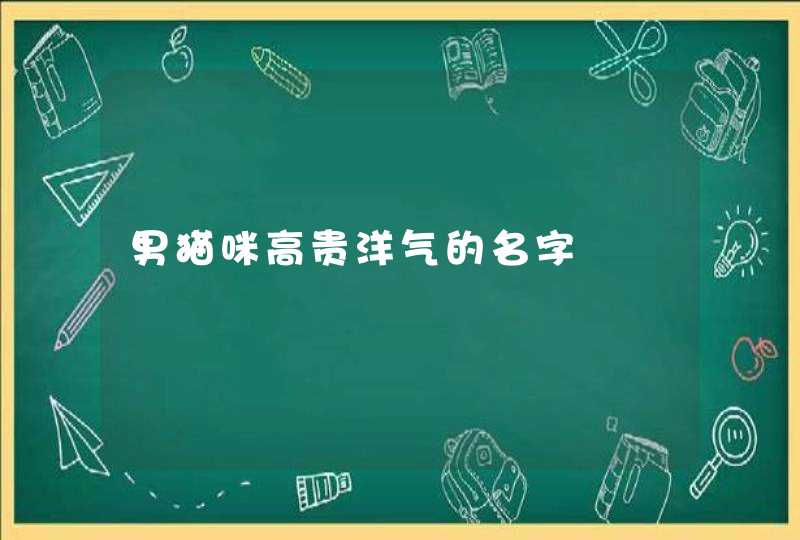 男猫咪高贵洋气的名字,第1张