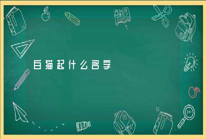 白猫起什么名字,第1张