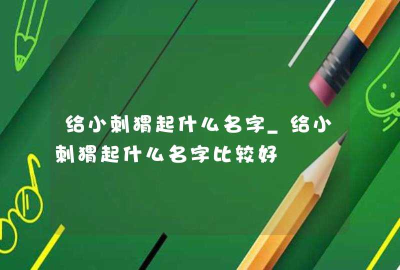 给小刺猬起什么名字_给小刺猬起什么名字比较好,第1张