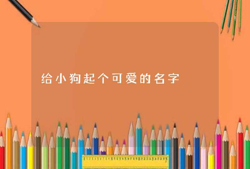 给小狗起个可爱的名字,第1张