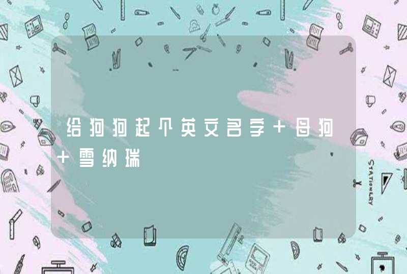 给狗狗起个英文名字 母狗 雪纳瑞,第1张