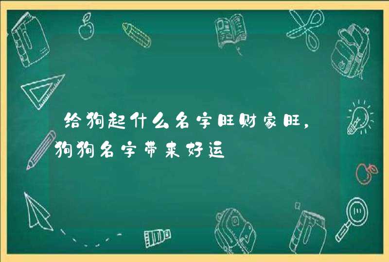 给狗起什么名字旺财家旺，狗狗名字带来好运,第1张