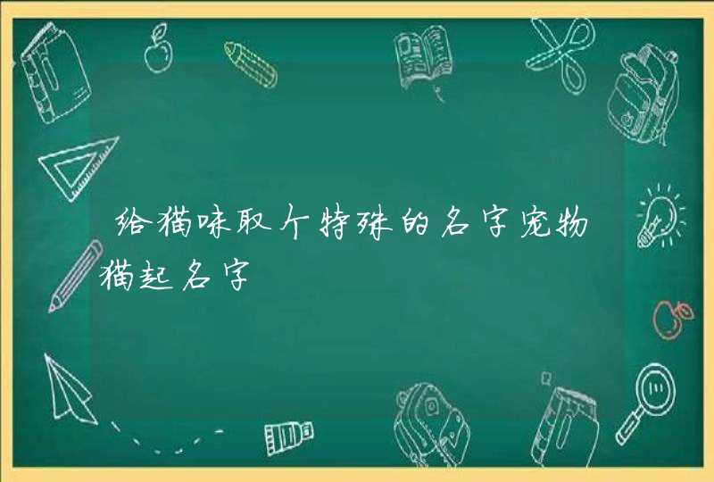 给猫咪取个特殊的名字宠物猫起名字,第1张