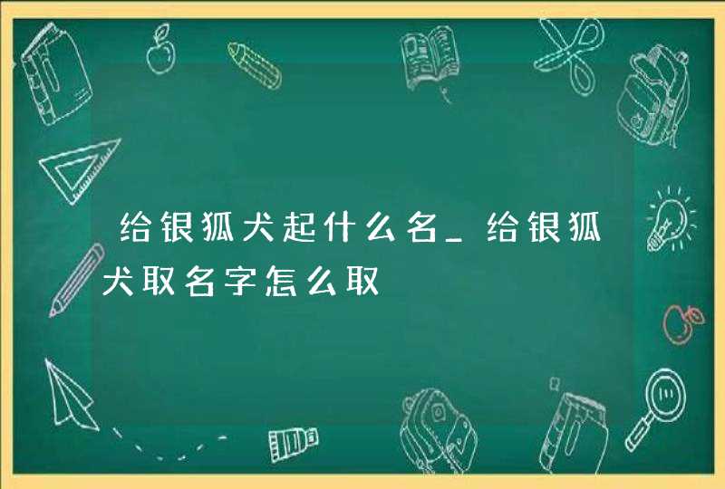 给银狐犬起什么名_给银狐犬取名字怎么取,第1张