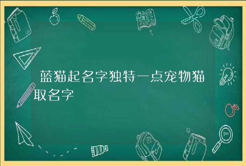 蓝猫起名字独特一点宠物猫取名字,第1张