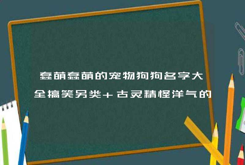 蠢萌蠢萌的宠物狗狗名字大全搞笑另类 古灵精怪洋气的名字宠物小顽皮,第1张