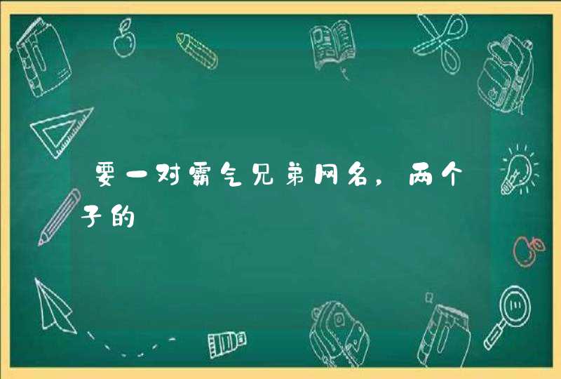 要一对霸气兄弟网名，两个子的,第1张