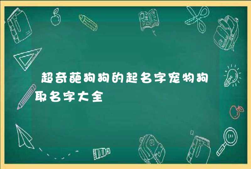 超奇葩狗狗的起名字宠物狗取名字大全,第1张