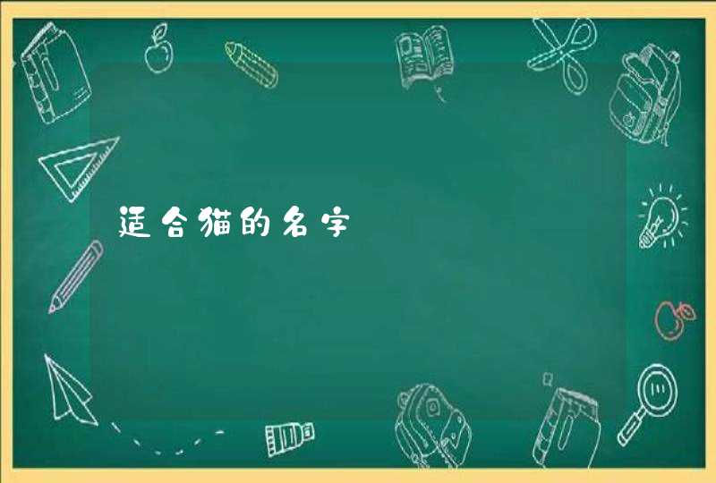 适合猫的名字,第1张