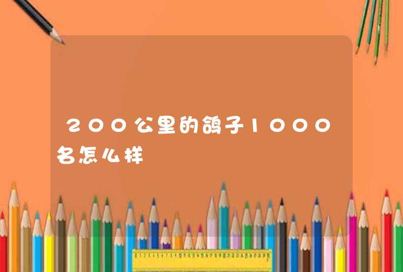 200公里的鸽子1000名怎么样,第1张