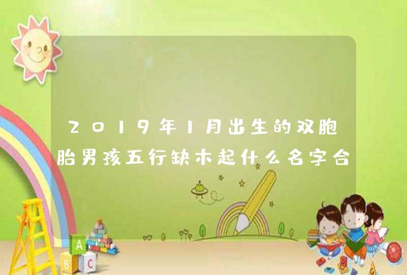 2019年1月出生的双胞胎男孩五行缺木起什么名字合适,第1张