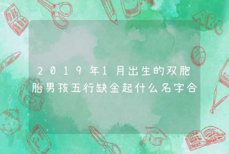 2019年1月出生的双胞胎男孩五行缺金起什么名字合适,第1张