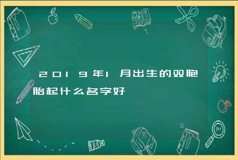 2019年1月出生的双胞胎起什么名字好,第1张