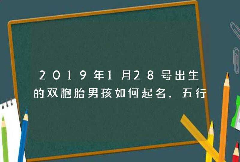 2019年1月28号出生的双胞胎男孩如何起名，五行属什么,第1张