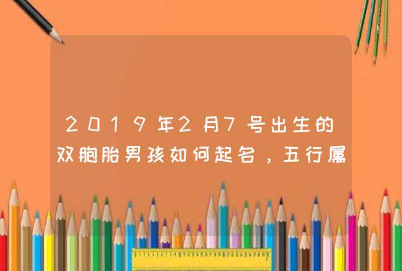 2019年2月7号出生的双胞胎男孩如何起名，五行属什么,第1张