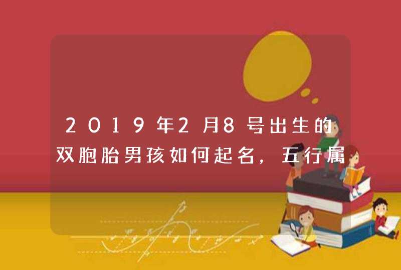 2019年2月8号出生的双胞胎男孩如何起名，五行属什么,第1张