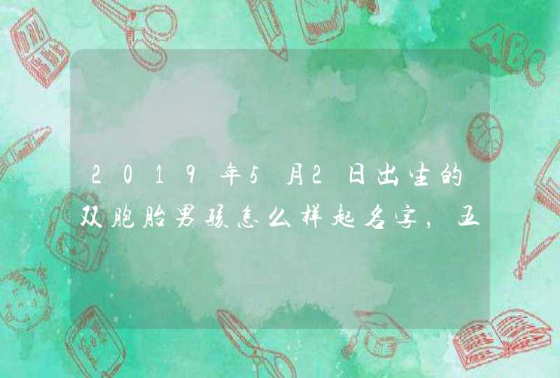 2019年5月2日出生的双胞胎男孩怎么样起名字，五行属什么,第1张