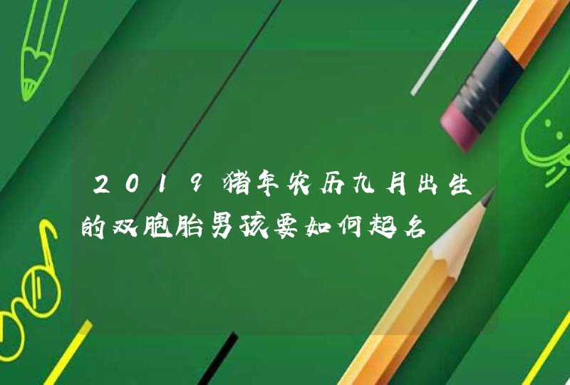 2019猪年农历九月出生的双胞胎男孩要如何起名,第1张