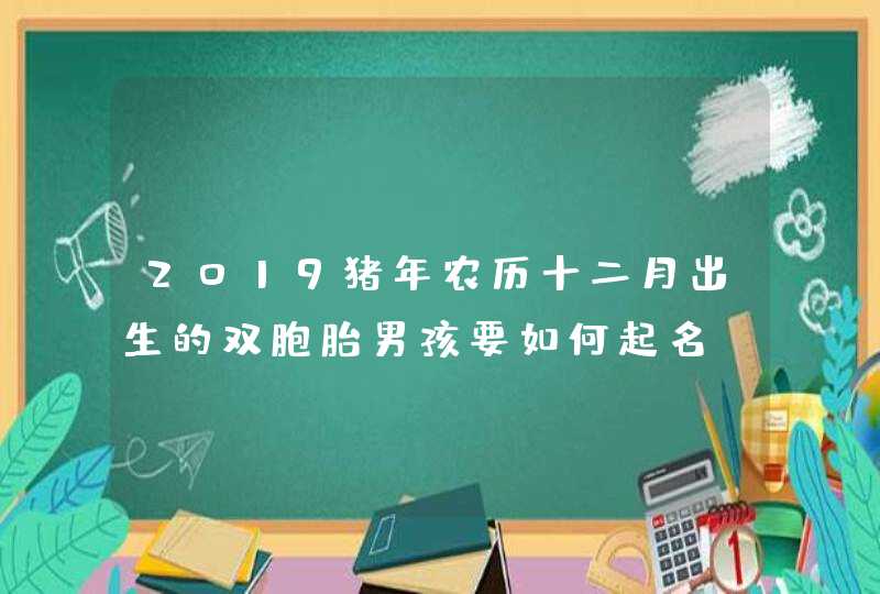 2019猪年农历十二月出生的双胞胎男孩要如何起名,第1张