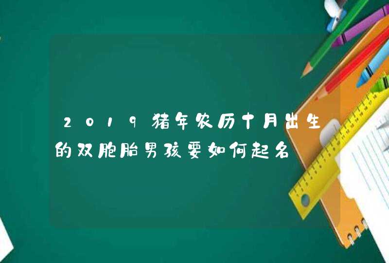 2019猪年农历十月出生的双胞胎男孩要如何起名,第1张