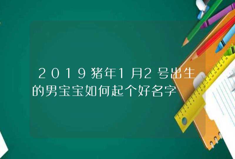 2019猪年1月2号出生的男宝宝如何起个好名字,第1张